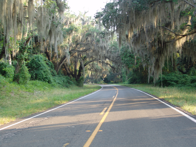 CR-234, between Micanopy &amp; Rochelle, Alachua Co Fla